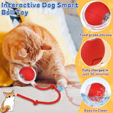 USB Rechargeable Smart Rolling LED Ball for Dogs & Cats