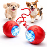 USB Rechargeable Smart Rolling LED Ball for Dogs & Cats