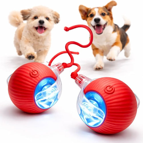 USB Rechargeable Smart Rolling LED Ball for Dogs & Cats